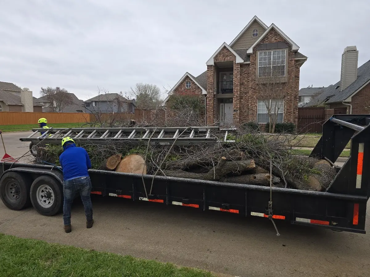 Expert Tree Removal with proper safety equipment in Brookfield